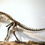 Climate Change Ravaged Dinosaurs Not Once But Twice