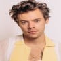 Clothes are there to have fun with and experiment with, Says Harry Styles