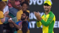 Indian fan proposes Australian girl during second ODI