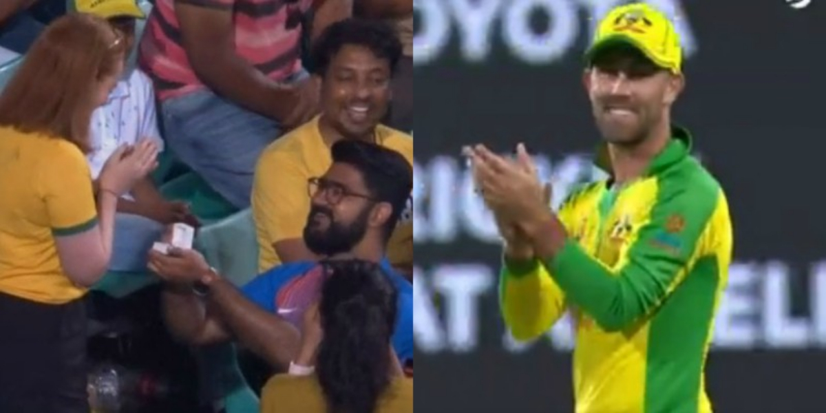 Indian fan proposes Australian girl during second ODI