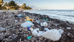 Americans add a fivefold increase of waste in the oceans