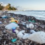 Americans add a fivefold increase of waste in the oceans