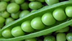 Peas health benefits