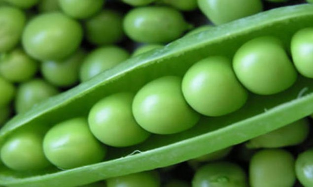 Peas: Incredible health benefits you may not have known