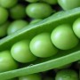 Peas: Incredible health benefits you may not have known