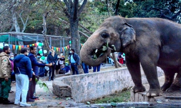 Kaavan