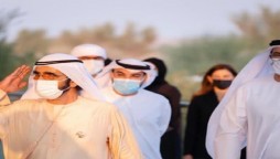 Dubai leaders programme