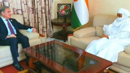 Qureshi meets Niger PM