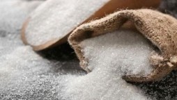 PIBT develops imported sugar tracking system