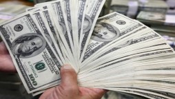 Foreign Direct Investment Reaches $317.4 Million In October