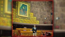 Imran Abbas Parliament