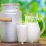Use Of Raw Milk Causes Many Diseases: Experts Say