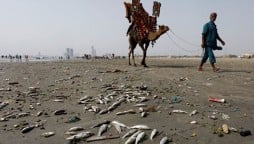 Marine Pollution Threatens Aquatic life In Karachi