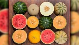 Surprising Benefits Of Watermelon And Melon Seeds