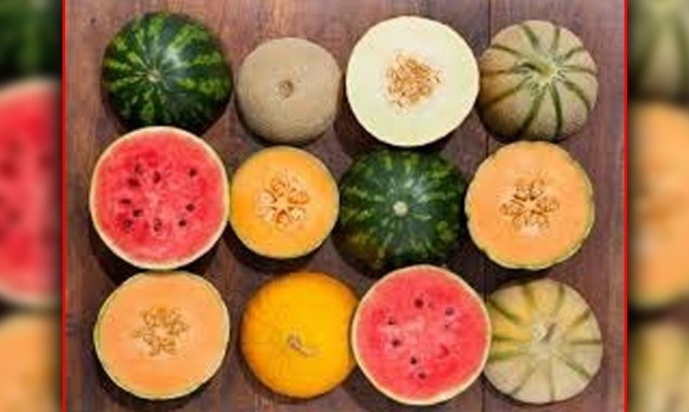 Surprising Benefits Of Watermelon And Melon Seeds