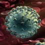 New coronavirus variant: Why is it causing concern?