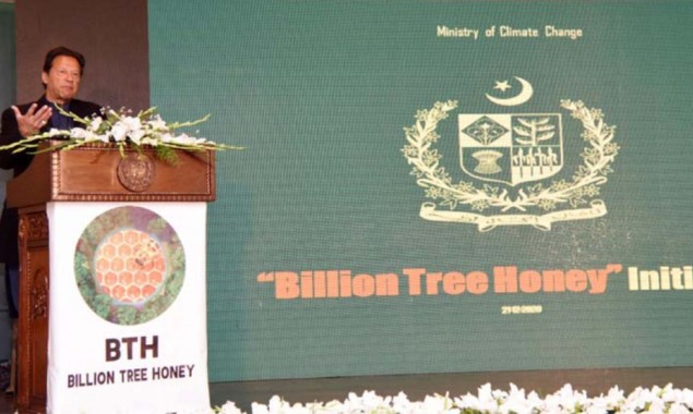 Billion Tree Honey: PM launches new project to promote quality honey internationally