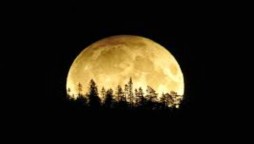 Cold Moon: When Is The Last Full Moon Of 2020