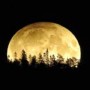 Cold Moon: When Is The Last Full Moon Of 2020