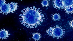 Coronavirus: 65 more died, 2179 new cases reported