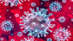 Coronavirus