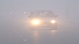 Dense fog in Punjab