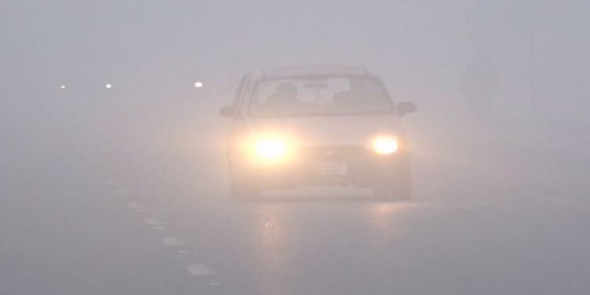 Dense fog in Punjab