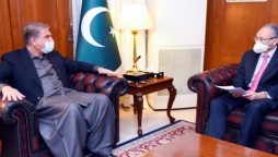 Shah Mahmood Qureshi met Japanese investors