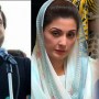 “Maryam Nawaz should stop making tall claims as PTI is going nowhere”