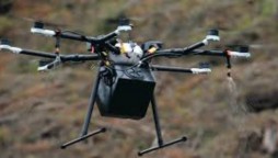 US Company organizes drones to replant forests destroyed by wildfires
