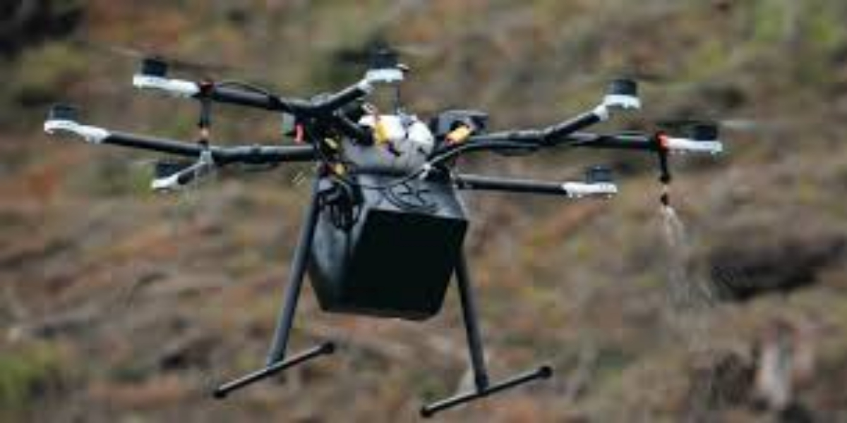US Company organizes drones to replant forests destroyed by wildfires