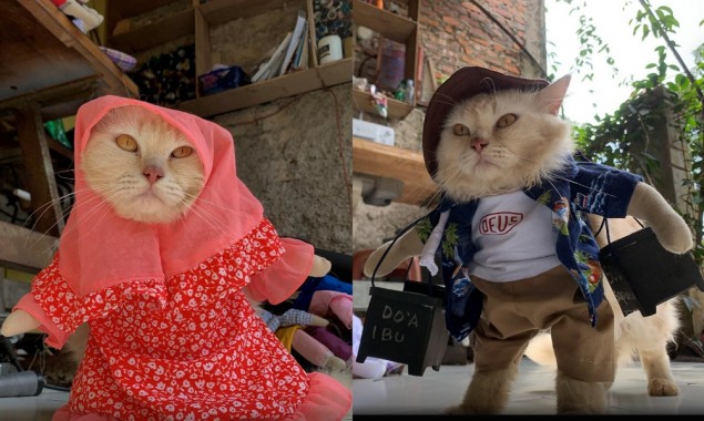 This tailor finds calling in cat fashion makeovers