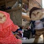 This tailor finds calling in cat fashion makeovers