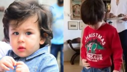 Taimur Ali Khan Christmassy sweatshirt