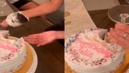 Woman cuts cake with wine glass