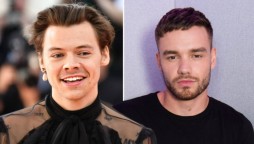 Liam Payne and Harry Styles