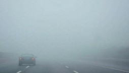 Heavy Fog envelops Punjab, visibility reduced to 50 meters