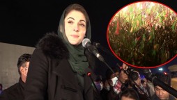 PDM Lahore Jalsa: Maryam Nawaz lambastes PM Imran for his incompetence