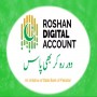 Remittances record another daily high in Roshan Digital Account