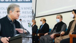 FM Qureshi seeks global part for peaceful resolution to Kashmir dispute