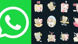 Lovely Sugar Cubs: WhatsApp rolls out new sticker pack ahead of Christmas
