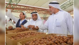 Saudi Arabia's Proposal Approved, 2027 Declared Int'l Year of Date Palm