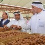 Saudi Arabia’s Proposal Approved, 2027 Declared Int’l Year of Date Palm