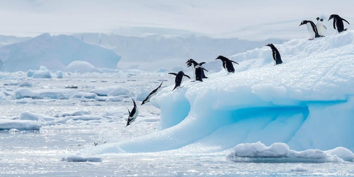 COVID Reaches Antarctica, 36 People Stationed At Research Base Infected