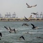 Saudi Arabia: Oil Tanker Catches Fire After Hit By Explosion At Jeddah Port