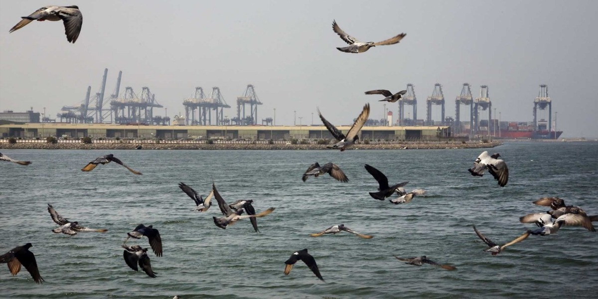 Saudi Arabia: Oil Tanker Catches Fire After Hit By Explosion At Jeddah Port