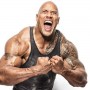 wwe superstar The Rock will not be seen wrestling for two years: Reports