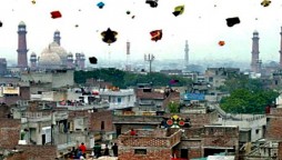 Punjab Govt. imposes Ban on Basant festival