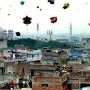 Punjab Govt. imposes Ban on Basant festival