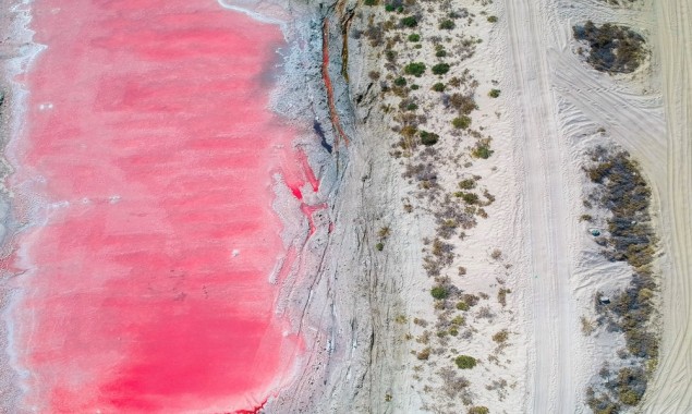 Pink lake discovered in UAE, have a look at amazing photos